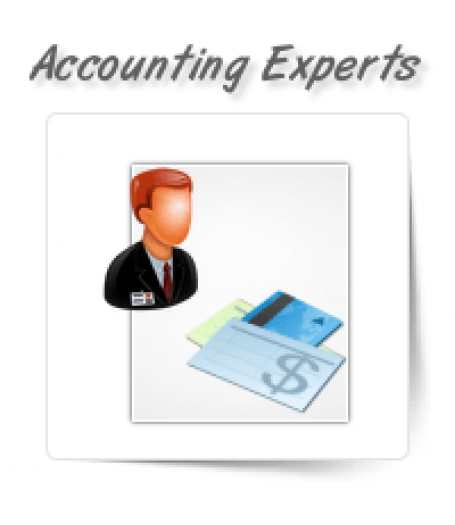 General Accounting Experts